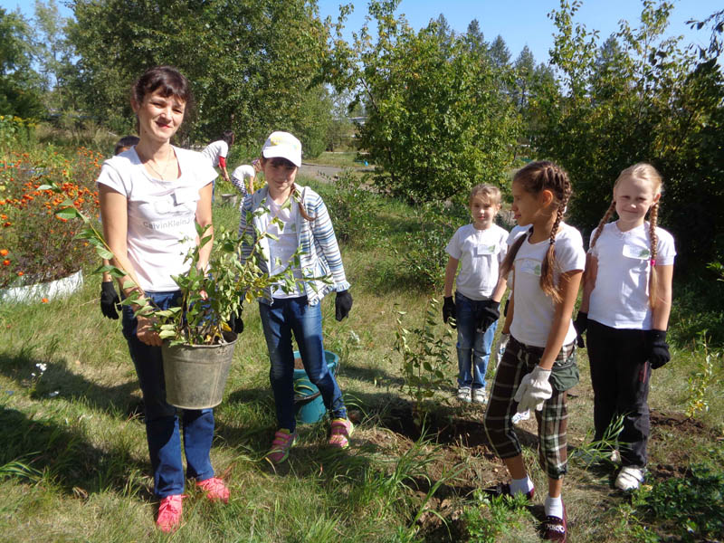 Погода в родничках