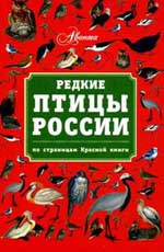 Babenko