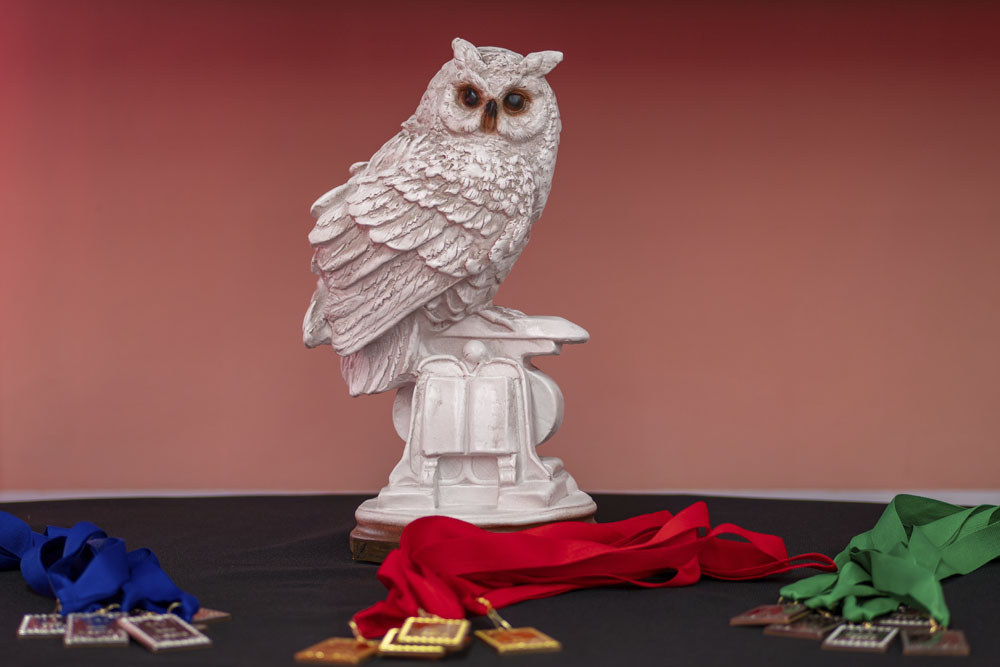 Page 55 Intellectual battle in honor of the library anniversary 2026 1